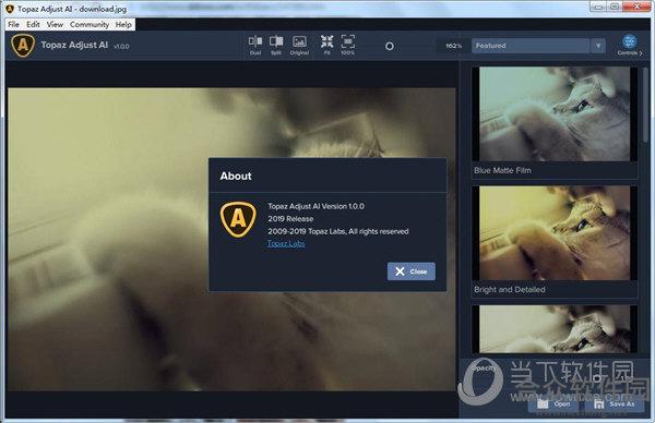 Topaz Adjust AI v1.0.0 官方版