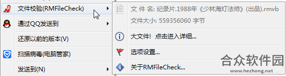 RMFileCheck下载