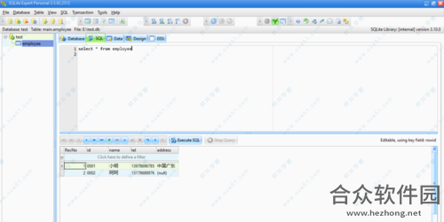 SQLite Expert中文版