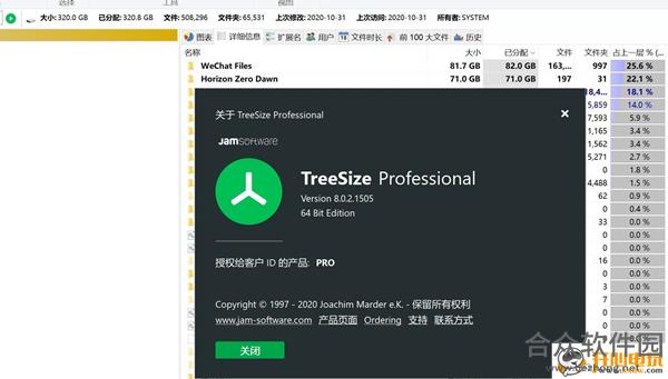 treesize professional(磁盘管理软件)  v6.2.3 绿色中文版