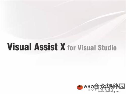 Visual Assist X下载