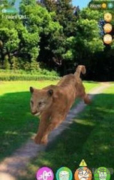 会说话的猎豹