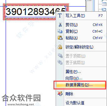 Codesoft 7下载