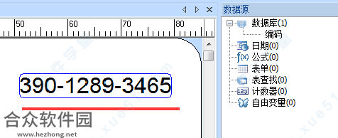 Codesoft 7下载