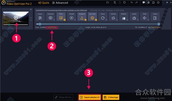 Ashampoo Video Optimizer Pro