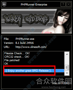PHPRunner下载