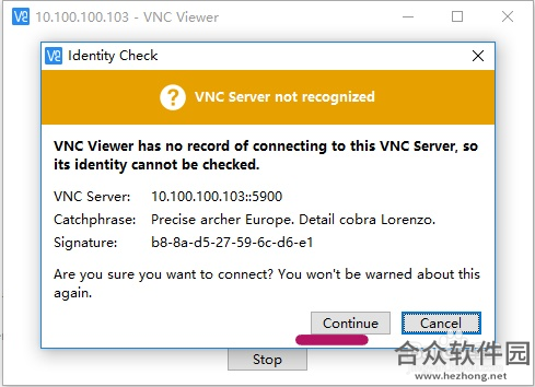 RealVNC