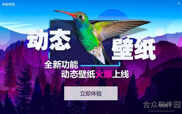 360小鸟壁纸