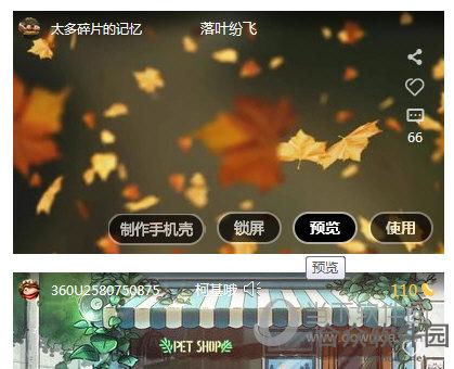 360小鸟壁纸
