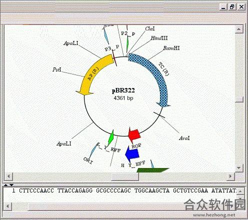 SimVector(图像制作软件)  v4.6.0.0 免费版