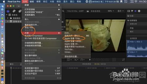 Final Cut Pro X下载