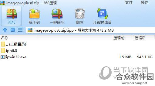 image pro plus下载