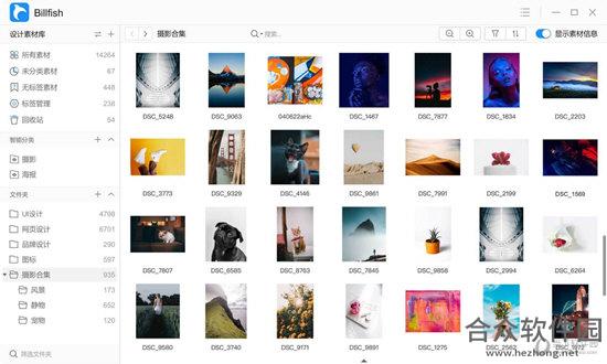 Billfish免费图片素材管理软件 v1.0 官方版