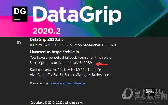 JetBrains DataGrip 2019.1.4 官方版