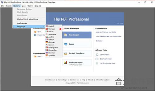 FlipBuilder Flip PDF Professional(电子书制作软件) v2.4.9.28 中文版