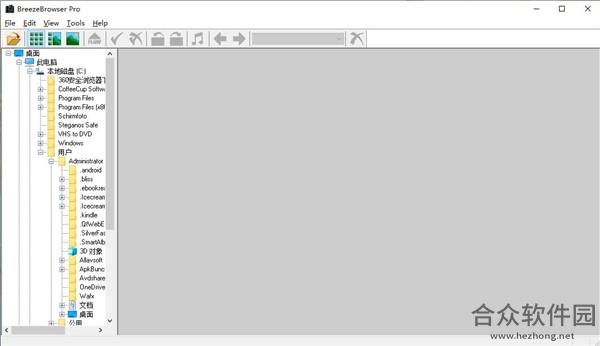 BreezeBrowser Pro(图文图象处理软件) v1.9.8.11 官方版